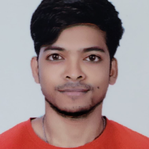 Kuldeep Tiru-Freelancer in Ghaziabad,India