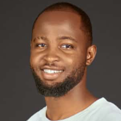 David Ndubuisi-Freelancer in Abuja,Nigeria