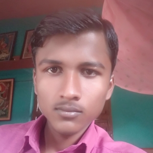 Sunil Kumar-Freelancer in Sitamarhi,India