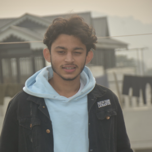 Kartik Thakur-Freelancer in Nahan,India