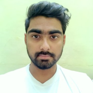 Arpit Verma-Freelancer in Raipur,India