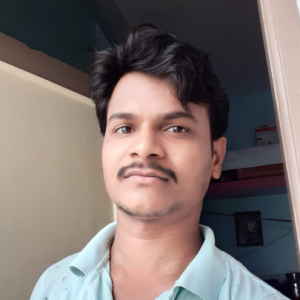 Ravikumar Manjare-Freelancer in Akola,India