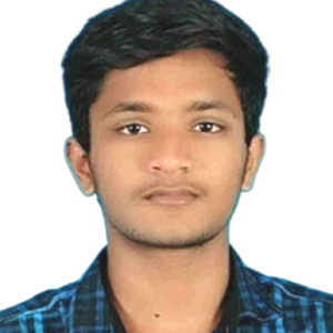 Prithiviraj T-Freelancer in Chennai,India