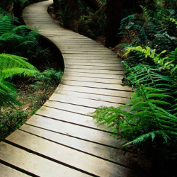 Kk Sharma-Freelancer in Zirakpur,India