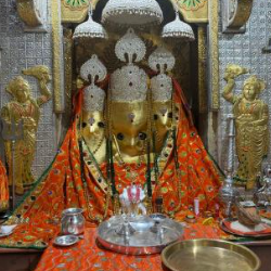 Santosh Mali-Freelancer in Indore,India