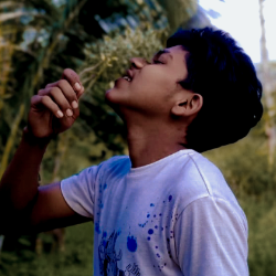 A A Sasindu Nimesh-Freelancer in Puttalam,Sri Lanka