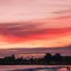 Sky L.-Freelancer in Baltimore,USA