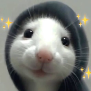 Nirbhay Tiwari-Freelancer in Indore,India