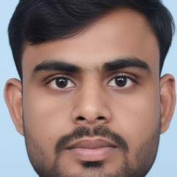 Hansraj Kumar-Freelancer in New Delhi,India