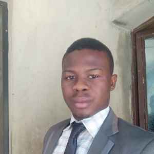 Bolaji Ajeigbe-Freelancer in Lagos,Nigeria