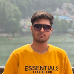 Puru Goyal-Freelancer in Sonipat,India