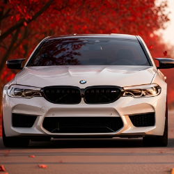 Sangeetha N-Freelancer in Karamadai,India