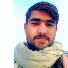 Ali Tahir Siddiqui-Freelancer in Dera Ghazi Khan,Pakistan