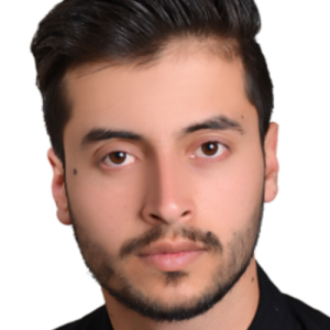 Sir Navid Sarbaland-Freelancer in Herat,Afghanistan