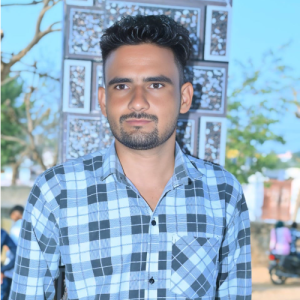 Praveen Meel-Freelancer in Kuchaman City,India