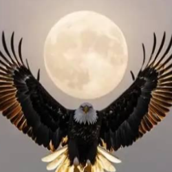 Faiza Anjum-Freelancer in Rawalpindi,Pakistan