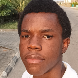 Etienne Ibekwe-Freelancer in Abuja,Nigeria