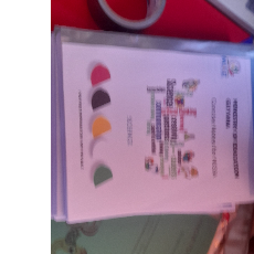 Andrea Gravesande-Adams-Freelancer in Georgetown,Guyana