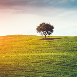 Harish Saini-Freelancer in jind,India