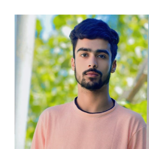 Faisal Gulzar-Freelancer in Srinagar,India