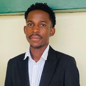 Denzel Fundikwa-Freelancer in Marondera,Zimbabwe