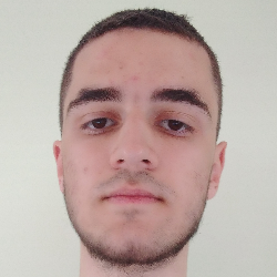 Alsi Lici-Freelancer in Elbasan,Albania