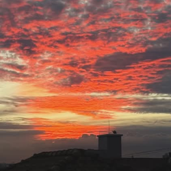 Clara-Freelancer in Olinda,Brazil