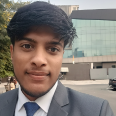 Subhankar Kumar-Freelancer in Noida,India