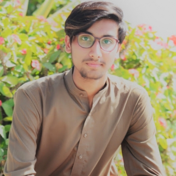 Hamza Hussain-Freelancer in Rawalpindi,Pakistan