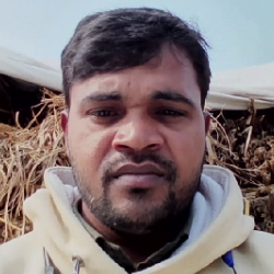 Vimlesh-Freelancer in Lucknow,India