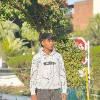 Vir bahadur-Freelancer in Ropar Division,India