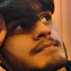 Aditya Meena-Freelancer in Greater Noida,India