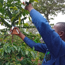 Maloba Gabriel Gabriel-Freelancer in Nairobi,Kenya
