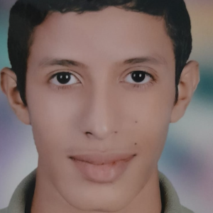 Mohanad Mahmoud-Freelancer in Sohag,Egypt