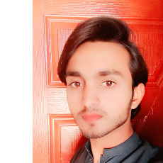 Muhammad Zubair-Freelancer in Multan,Pakistan