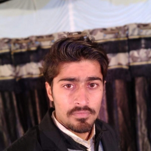 Bilal Akram-Freelancer in Faisalabad,Pakistan