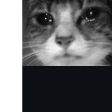 Ryan-Freelancer in Multan,Pakistan