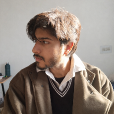 Harsh Tomar-Freelancer in Indore,India