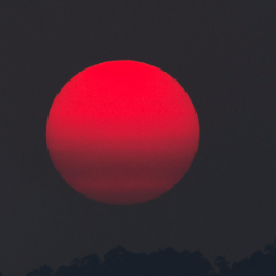 Sarath Madurapperuma-Freelancer in Dehiwala-Mount Lavinia,Sri Lanka