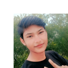 Pankaj Sisodiya-Freelancer in gormi,India