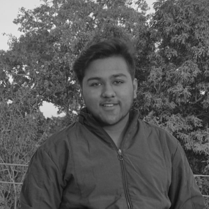 Shaurya-Freelancer in Hazaribag,India