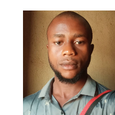 Myina Terwase-Freelancer in Benue,Nigeria