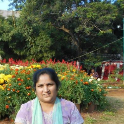 Sudhamani H M-Freelancer in Mysuru,India