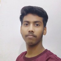 Rishabh Kumar-Freelancer in Kosi Division,India