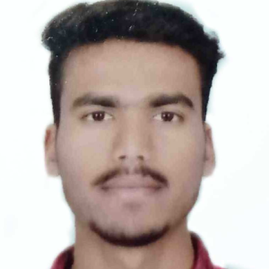 Aditya Mandloi-Freelancer in bhopal,India