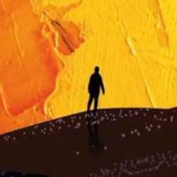 H. Yucel-Freelancer in İstanbul,Turkey