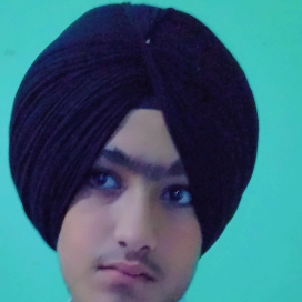 Gavindeep Singh Bhullar-Freelancer in Nathowal,India