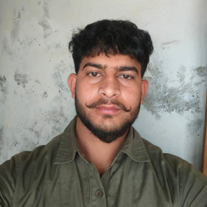 BOBI DEOL-Freelancer in Kusumkhera South,India