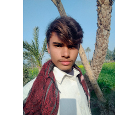 Furqan Khan-Freelancer in Multan,Pakistan