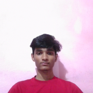 Hemanth Avanapu-Freelancer in Visakhapatnam,India